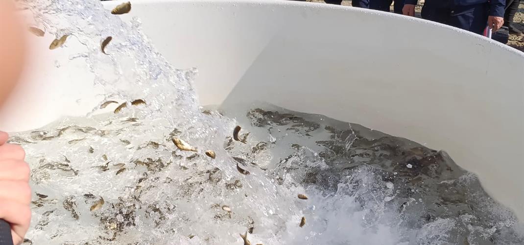 Keban'dan Nahçıvan'a Dostluk ve Bereket Taşıyan Yolculuk