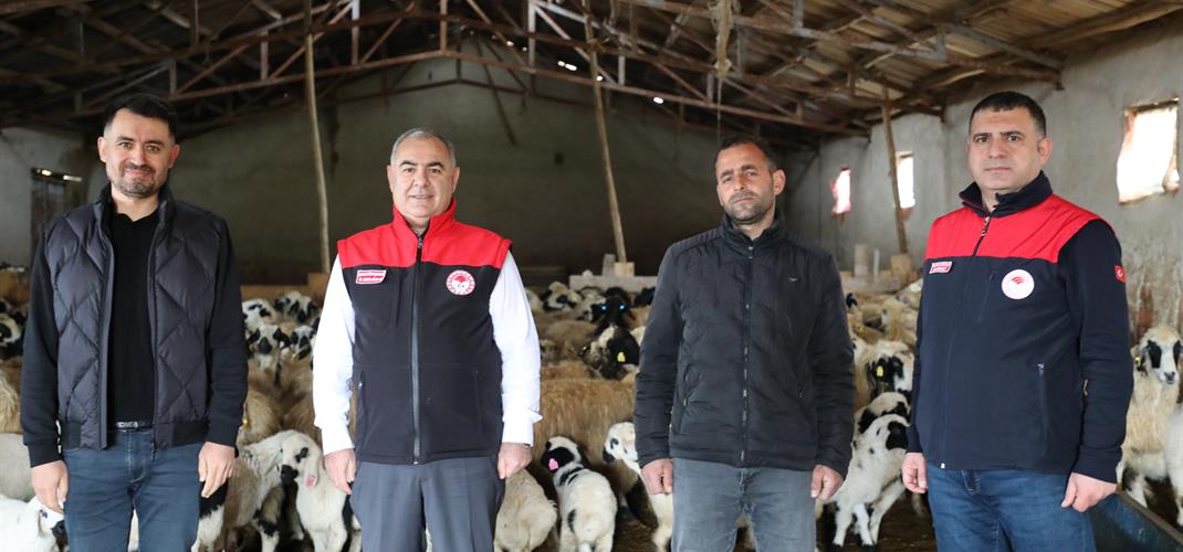 HIDIRBABA KÖYÜNDE KÜÇÜKBAŞ HAVANCILIK İŞLETMESİNE ZİYARET