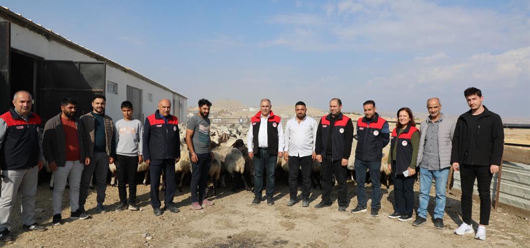 Refahın Yükseldiği Modern Ağıl: Mutlu Sürüler, Güçlü Üretim 