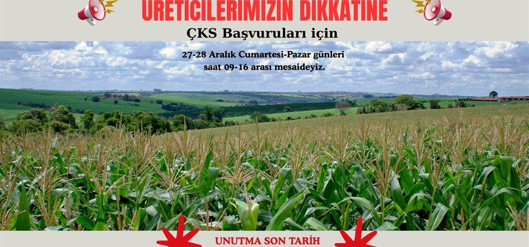 ÇKS Başvurularında Son Tarih: 31 Aralık 2025 