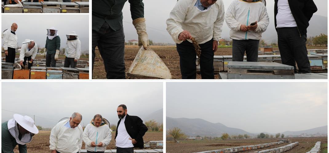 “Yaylanın Sessiz Emeğiyle Gelen Tat”