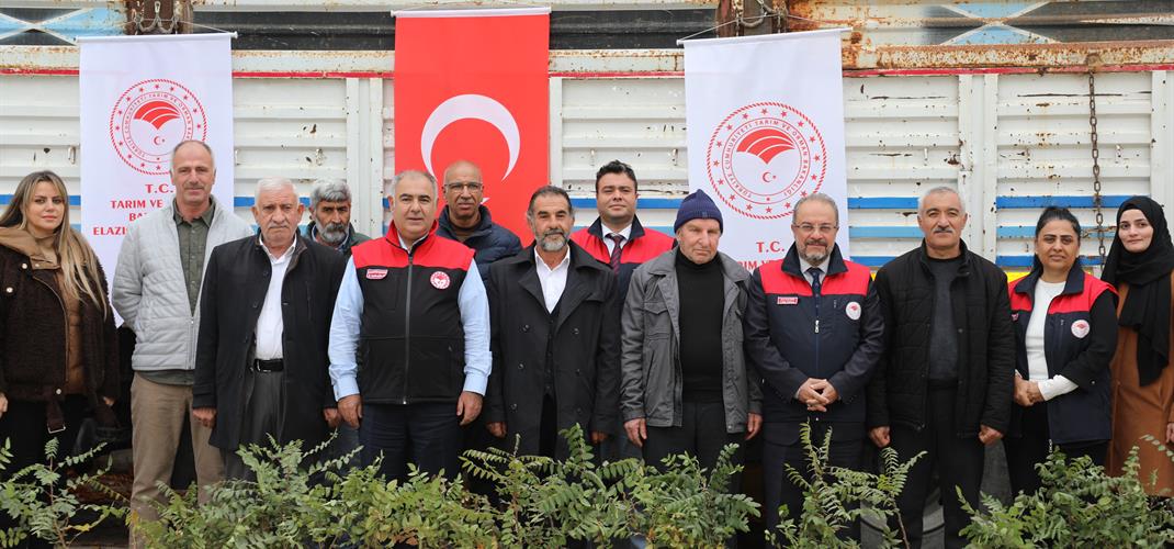 Elazığ’da Sumak Üretimi Artıyor