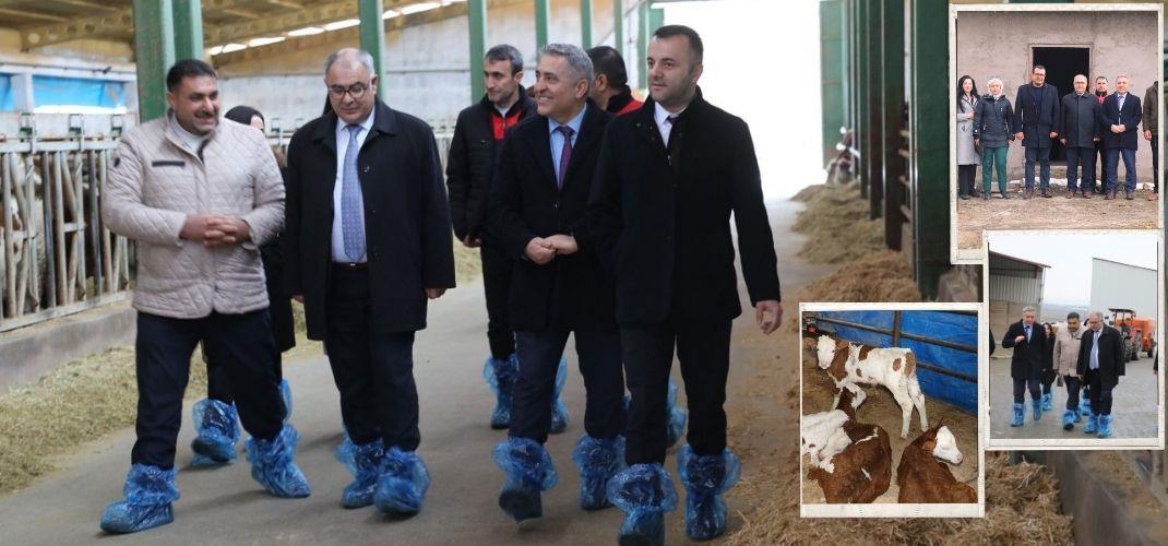 Deprem Sonrası Hayvancılık Altyapısı Yerinde İncelendi