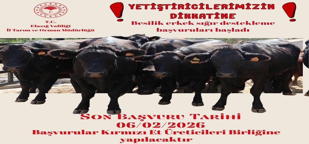 2025 Yılı Kırmızı Et Destekleme Başvuruları Başladı