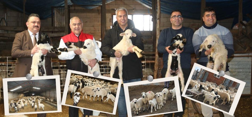 Gürçubuk Köyünde İşletme Ziyareti