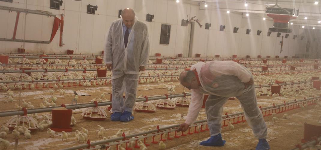 KKYDP Destekleriyle Kanatlı Üretimde Kapasite ve Üretim Gücü İkiye Katlandı