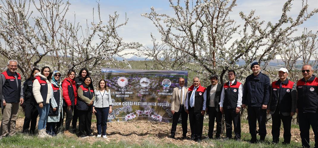 Ağın’da Badem Çiçekleriyle Baharın En Zarif Görünümü