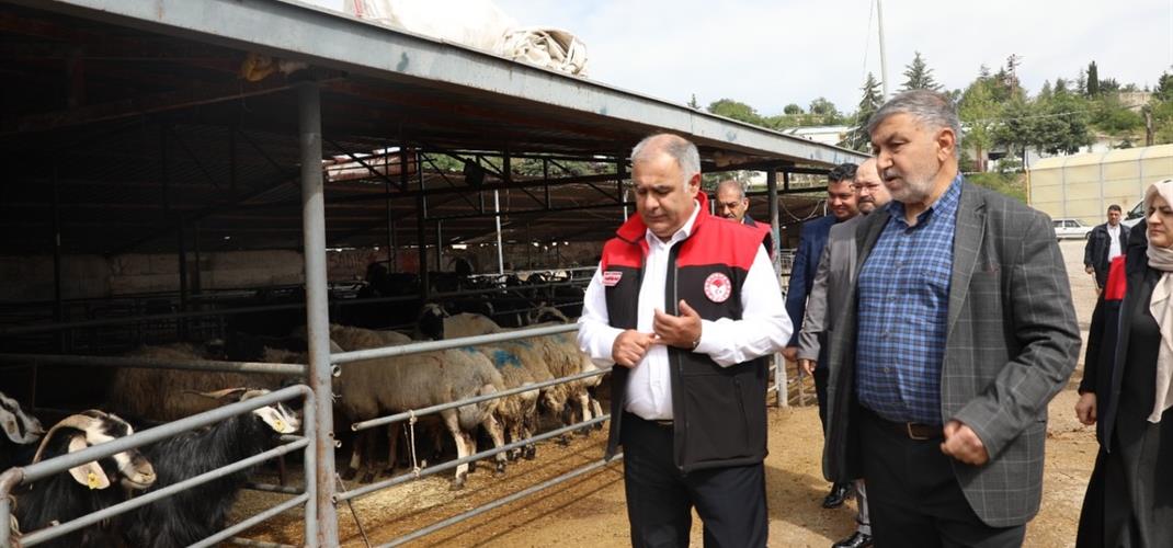  Kurbanlık Satış ve Kesim Alanlarında Denetim