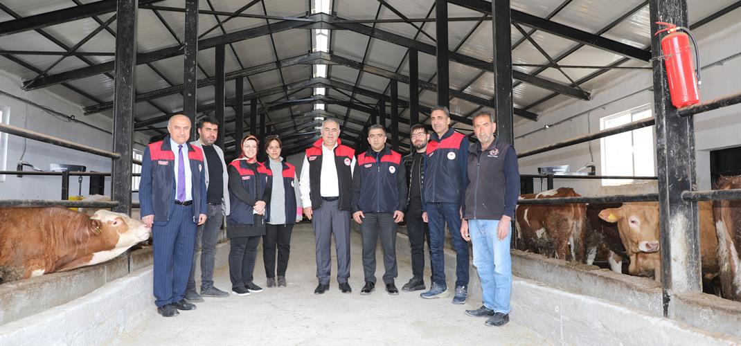 KKYDP 16. Etap Desteğiyle Kurulan Yeni Besi İşletmesi