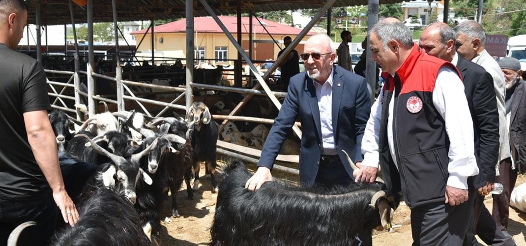 Bayram Öncesi Hayvan Pazarı Ziyaret Edildi