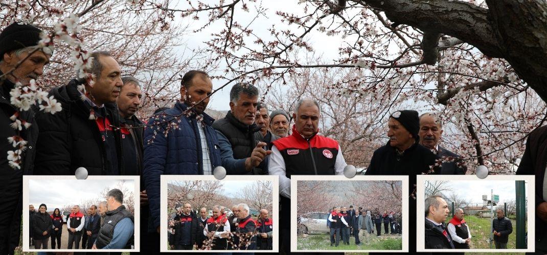 Baskil Kayısısında Beyazla Başlayan Üretimin Yolculuğu